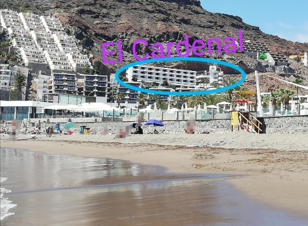 Apartamento El Cardenal Mick & Rosa Playa Del Cura  Esterno foto